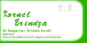 kornel brindza business card